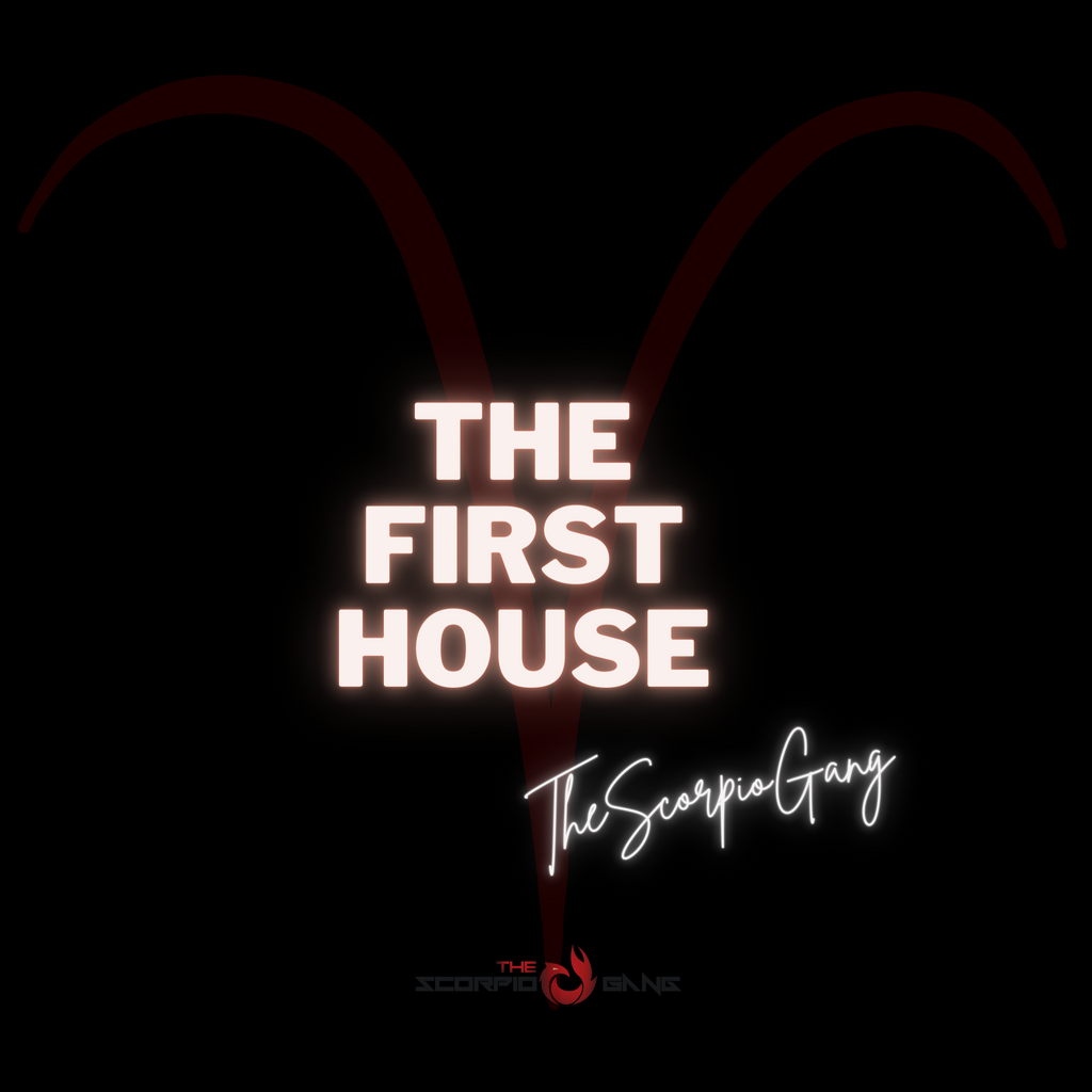 The 1st House