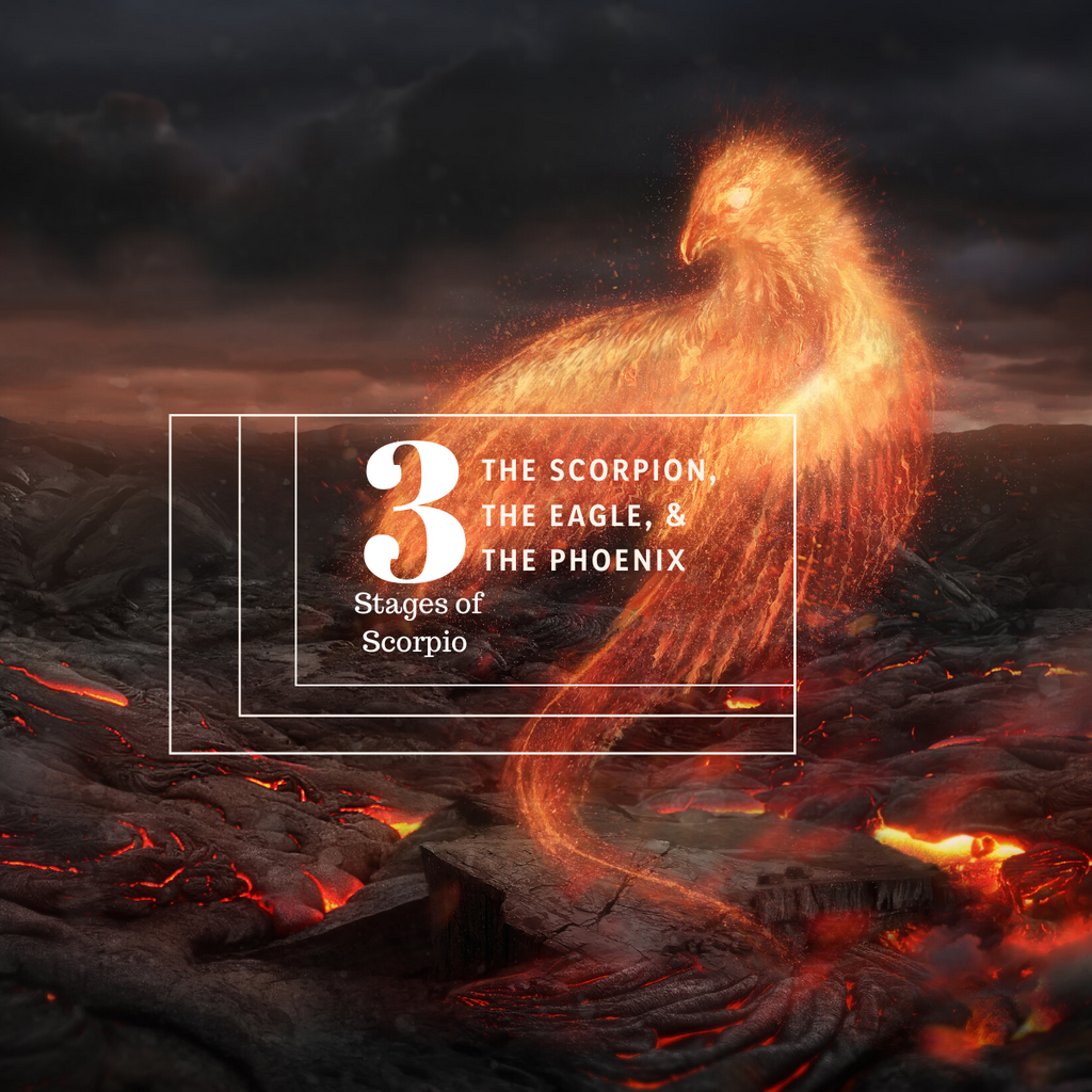 The Scorpion, The Eagle, and The Phoenix. 3 Stages of Scorpio